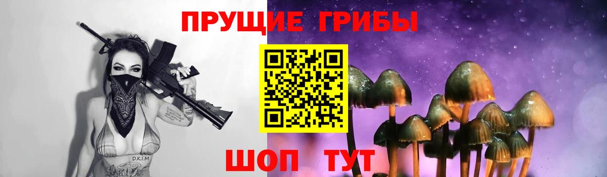 Галлюциногенные грибы MAGIC MUSHROOMS  Вход с VPN  купить   Галлюциногенные грибы Psilocybine cubensis  Ртищево 